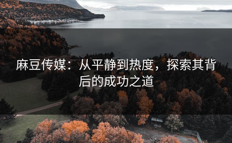 麻豆传媒：从平静到热度，探索其背后的成功之道