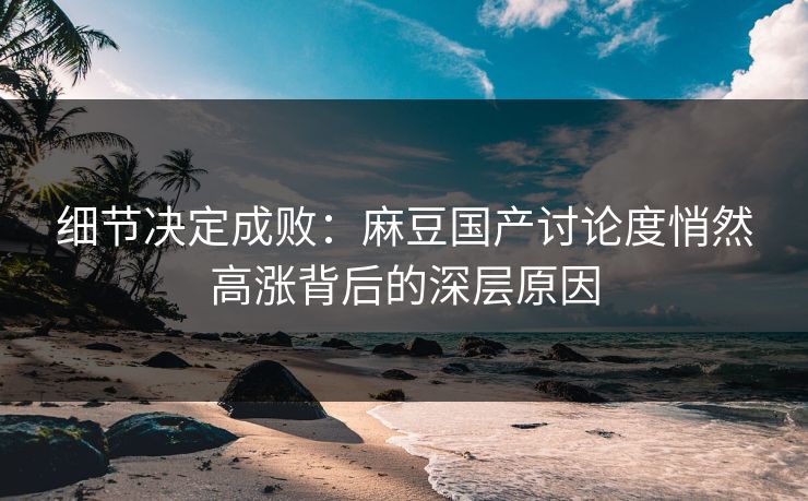 细节决定成败：麻豆国产讨论度悄然高涨背后的深层原因
